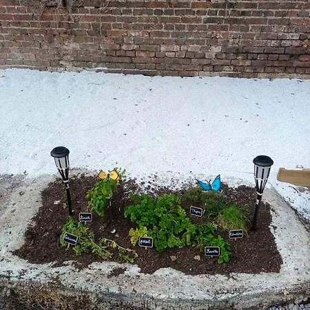 Maison Charmante A Avec Jardin Privatif Σπίτι διακοπών *