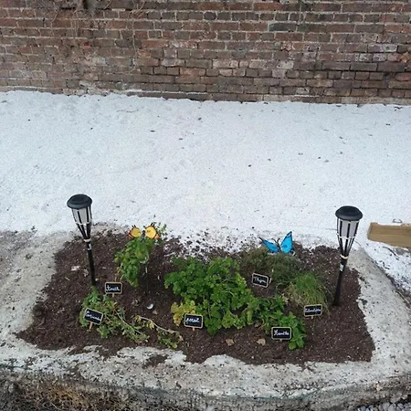 Hébergement de vacances Maison Charmante à Avec Jardin Privatif Cayeux-sur-Mer